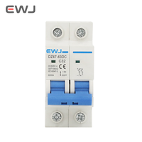 Disyuntores eléctricos de CC, disyuntores, doble 2 polos, tipo C, protector de fugas 1A 2A 3A 4A 6A 10A 16A 20A 25A 32A