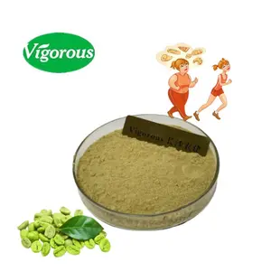 High quality green coffee extract powder/Organic green coffee bean extract