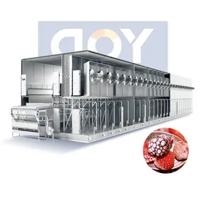 Iqf Freezing Machine Tunnel For Freezing Vegetable And Fruit Machine