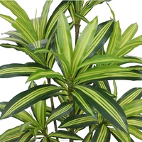 Arbre artificiel réaliste Dracaena de 180 cm de haut, plante verte artificielle pour la décoration intérieure de chambre, bureau, magasin, café, mariage