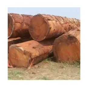 アフリカ/ガボンドゥッシー木材丸太-原材料高品質低税-パキロバ、ドゥッシー、タリ、オカン材