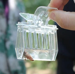 1 adet kraliçe Catcher klip, şeffaf plastik kraliçe kafes tuzak kutu, arıcılar için ucuz arıcılık aracı - Product Image 4