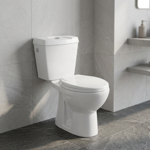 Aqua <b>Pan</b> Two Piece WC <b>Ceramic</b> Washdown Water Closet Pink Color Multi Color Bathroom Toilet <b>Set</b> - Product Image 2