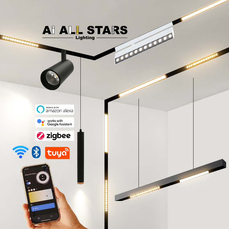 Новый дизайн, 48 В, круглая поверхность точечного светильника, встраиваемый Магнитный трек, подвесной светильник, магнитная система, коммерческий светодиодный Трековый светильник