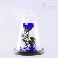 Cadeau de Noël 2026 Cadeau de la Saint-Valentin Fleur éternelle sous cloche en verre Rose La Belle et la Bête Prince Plante décorative