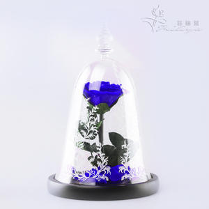 Cadeau de Noël 2026 Cadeau de <span class=keywords><strong>la</strong></span> Saint-Valentin Fleur éternelle sous cloche en verre Rose <span class=keywords><strong>La</strong></span> <span class=keywords><strong>Belle</strong></span> <span class=keywords><strong>et</strong></span> <span class=keywords><strong>la</strong></span> Bête <span class=keywords><strong>Prince</strong></span> Plante décorative - Product Image 5