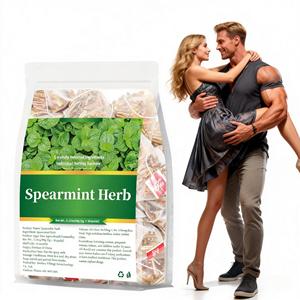 Private Label Fresh Raw Spearmint Herbal Flower Tea Bags Health Hormone Balance For Adults