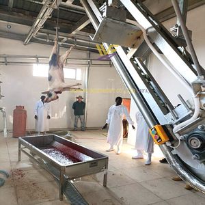 Completare 50 100 di suini al giorno attrezzatura Per macello piccolo Per scrofa di maiale macellaio macchina Per macellazione Mini macello macello - Product Image 2