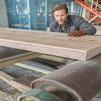 AS/NZS 4357 F17 Pine LVL Beams 90x45mm Structural Lumber E14 Laminated Veneer Lumber Construction Timber Beam for Building House