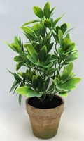 Plantes artificielles modernes en pot pour intérieur, en plastique/PE, écologiques, verdure réaliste pour la maison, le bureau et le jardin (vente en gros)