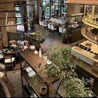 Ensemble de table et de chaises de salle à manger pour restaurant commercial personnalisé, style moderne industriel, écologique, durable, confortable, appartement, café, bistrot, hôtel