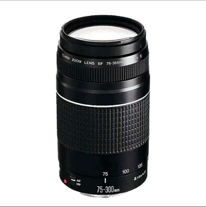 Objectif d'appareil photo d'occasion original en gros à prix abordable, objectif EF-S 75-300mm 1:4-5.6 - Product Image 4