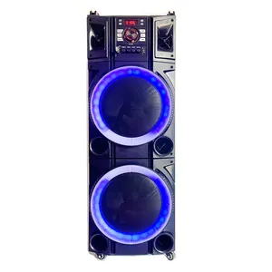 China Hersteller 12 Zoll pa Lautsprecher Karaoke High Power Blue Tooth Aktiv Großhandel Holz Spieluhr