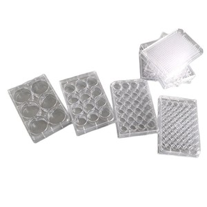 Placa de 96 pocillos de fondo plano de material PP de Yongyue Medical para uso en laboratorio de cultivo bacteriano - Product Image 4