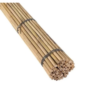 เสาไม้ไผ่สำหรับขายส่ง เสาไม้ไผ่กลมสำหรับพยุงต้นไม้ ไม้เลื้อย ไม้ประดับสวน และจัดสวน - Product Image 1