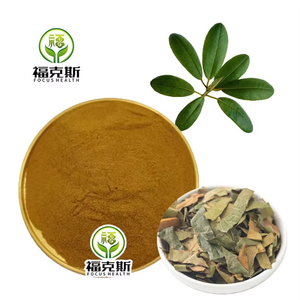Estratto Secco di Foglie di Loquat Standardizzato con 25% di Acido Ursolico, Polvere Vegetale Naturale di Triterpenoidi per Formulazioni Nutraceutiche - Product Image 3