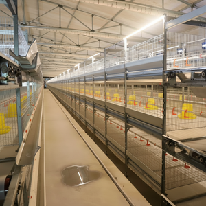 Cages à poulets d'observation transparentes pour les fermes d'agritourisme Idéal pour l'interaction des visiteurs Élevage de poulets de chair - Product Image 1