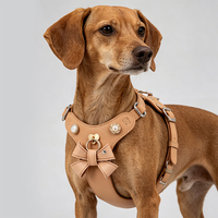 Harnais pour chien DLY en cuir souple, élégant et luxueux, personnalisé, avec boucle mignonne et ensemble de laisse, accessoires de poitrine de luxe pour animaux de compagnie