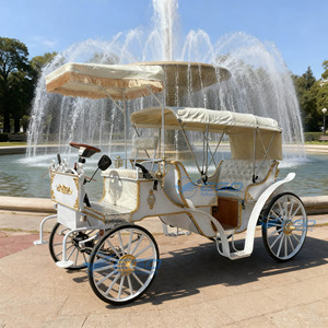 Calèche de luxe à deux rangées de sièges pour visites touristiques, calèche électrique historique pour mariages, transport spécial à vendre - Product Image 6