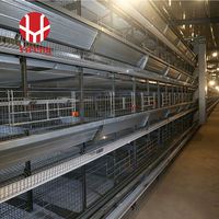 Système de cages en batterie automatique de type H à 5 niveaux pour l'alimentation, l'abreuvement et la collecte des œufs en élevage avicole