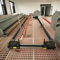 Système d'alimentation automatique en chaîne pour volailles, équipement avicole automatique pour poules pondeuses
