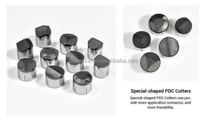 2026 Drillsoltek: Novas Brocas de Perfuração <span class=keywords><strong>PDC</strong></span> com Diamante de Formato Especial, Geometria Personalizada e Pastilhas <span class=keywords><strong>PDC</strong></span> para Perfuração de Petróleo e Gás – Ferramenta de Perfuração Forjada - Product Image 6