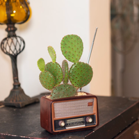 Nouveauté 2026 : Articles décoratifs créatifs et rétro en forme de radio pour pots de fleurs, objets artisanaux en résine multifonctionnels et personnalisés pour la maison