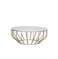 Table basse élégante en métal avec plateau en bois pour salon, chambre, salle de séjour et décoration de réception de bureau