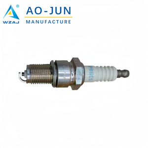 Bougie d'allumage Iridium Flame Tip Ao-Jun BPR6ES 7131 pour Honda et autres petits moteurs - Product Image 2