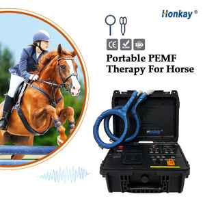เครื่องดูแลสัตว์เลี้ยงระดับพรีเมียม PEMF สำหรับสุนัขเพิ่มความมีชีวิตชีวา แมวเพิ่มความสุข บำบัดด้วยคลื่นแม่เหล็กไฟฟ้าเพื่อสุขภาพ - Product Image 1