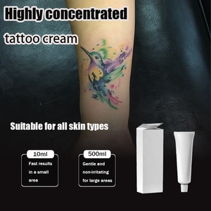 2025 Innovadora crema de tatuaje Pro-tinta de Color vibrante y plantillas de arte corporal para PMU Studios lápiz de cejas tinta tatuaje pluma mapeo - Product Image 3