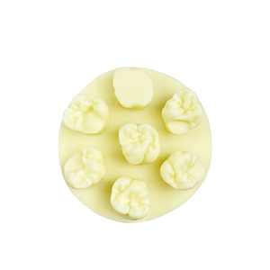 Maniquí Dental en Forma de Disco Relleno de Resina para Prácticas y Exámenes de Estudiantes, Uso Educativo Portátil YOUYA DENTAL MX-121 - Product Image 3