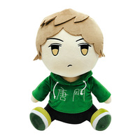 Poupées en peluche personnalisées Kpop Korean Star Doll Jouets en coton personnalisés fashion girl