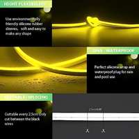 Bandes lumineuses LED néon flexibles, étanches, en silicone, avec clips de fixation, prise facile à installer, sans danger pour la peau humaine