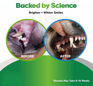 Köpek takviyesi için fabrika fiyat diş tozu nefes spreyi-diş temizleme hedefler Tartar ve kötü nefes için kolay yapılmış - Product Image 2