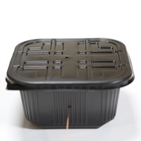 Boîte repas auto-chauffante à cordon de tirage, chauffe-plat sans flamme pour plats préparés