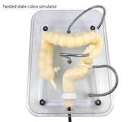 Modèle de formation en coloscopie scientifique médicale pour l'enseignement, modèle d'organe du côlon en simulation souple, modèle de côlon