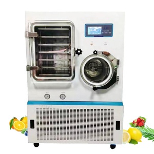 Liofilizador al Vacío para Alimentos de Mascotas, Frutas Pequeñas, Equipo de Liofilización al Vacío - Product Image 1