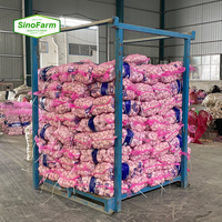 Nouvel ail frais de Chine du Shandong gingembre graines de Chine pour la plantation d'ail blanc normal frais