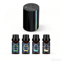 Diffuseur d'huiles essentielles métallique sans eau à deux fluides, fonctionne sur piles - Comprend 4x10ml d'huiles essentielles, purificateur d'air, aromathérapie, silencieux 35dB