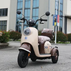 Fabrieksverkoop 3 Wielen Motorfiets Elektrische Scooter Volwassen Met Cargo Box Voor Levering Van Voedsel Of Ouderen