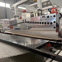 Ligne de production de couvertures anti-érosion, machine de fabrication de géomates 3D pour la végétalisation des pentes, ligne de machine d'extrusion