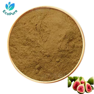 Extrait de figue 30% 50% Polysaccharides de figue pour compléments alimentaires, aliments fonctionnels, produits de bien-être - Product Image 1