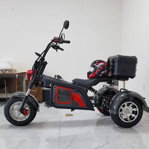 Tricycle électrique avec moteur De 60V, 45ah, 1000W, bicyclette à trois roues - Product Image 5