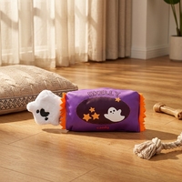 Nouveauté : Jouets en peluche pour chien Halloween, jouets durables pour nettoyer les dents, corde à nœuds pour chiens et chats