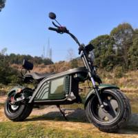 Citycoco Hulk EEC COC 60v 1500w 3000w Moto électrique à pneus larges Citycoco 2023, la plus récente