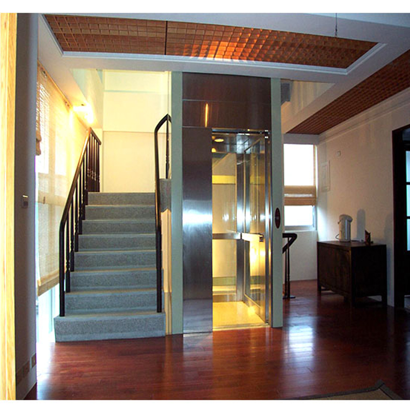 Customized color used modern home elevators for sale manufacturer
