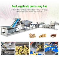 Volautomatische Industriële Schone Wortelgroene Wasverwerkingslijn/Bevroren Fruitgroente Productielijn