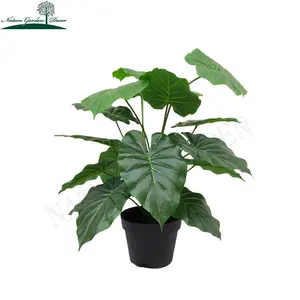 Mini dekorative gefälschte Elefanten ohren Pflanze Tisch dekoration Topfpflanzen Künstliche Taro Indoor Bonsai Bäume