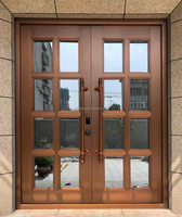 Porte double en acier à grain de bois personnalisé de haute qualité - Entrée de bâtiment résidentiel avec verre